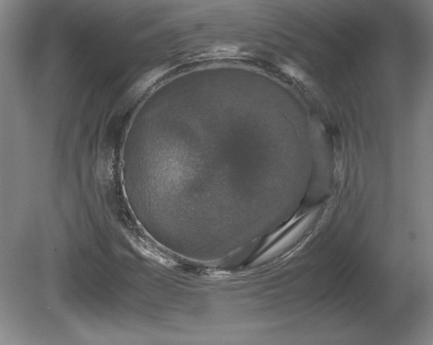 X0000081411161200701191522