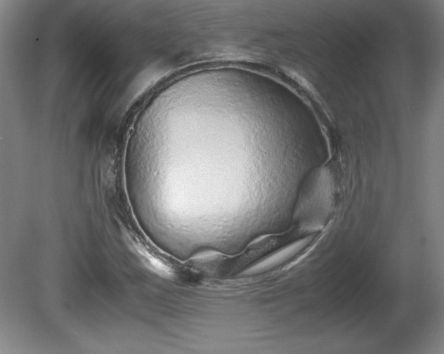 X0000081411163200701191522