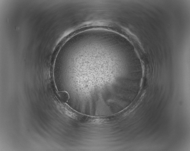 X0000081411166200701191522