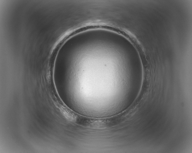 X0000081411167200701191522