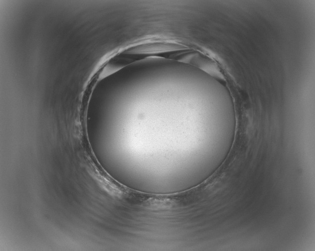 X0000081411168200701191522