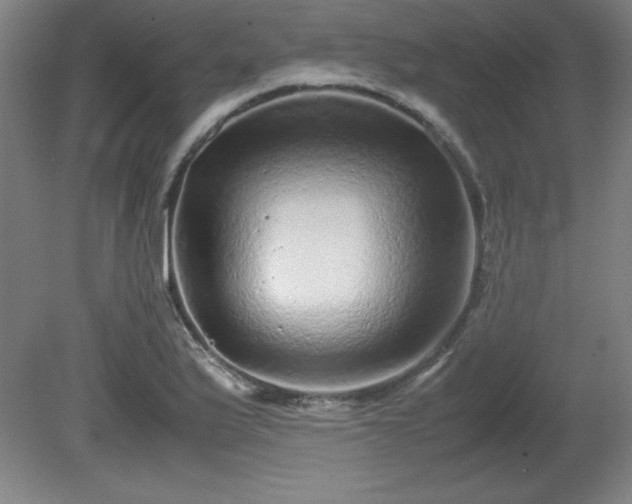X0000081411175200701191522