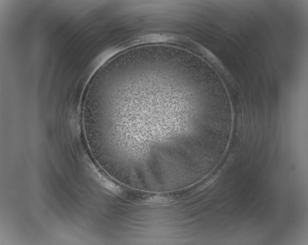 X0000081411178200701191522