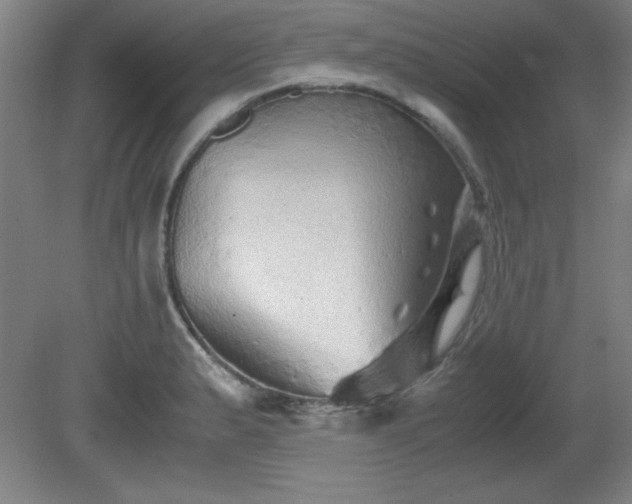 X0000081411183200701191522