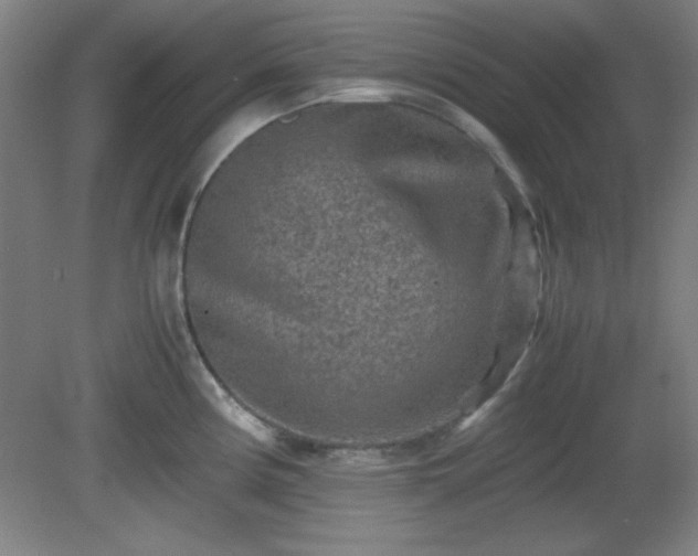 X0000081411194200701191522
