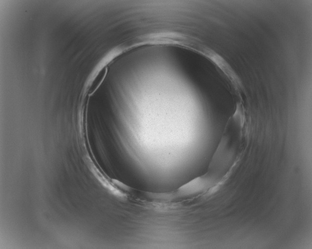X0000081411196200701191522