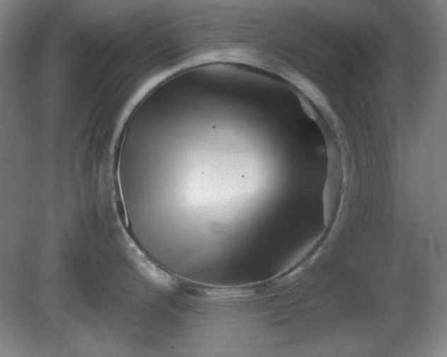 X0000081411200200701191522