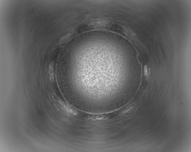 X0000081411203200701191521