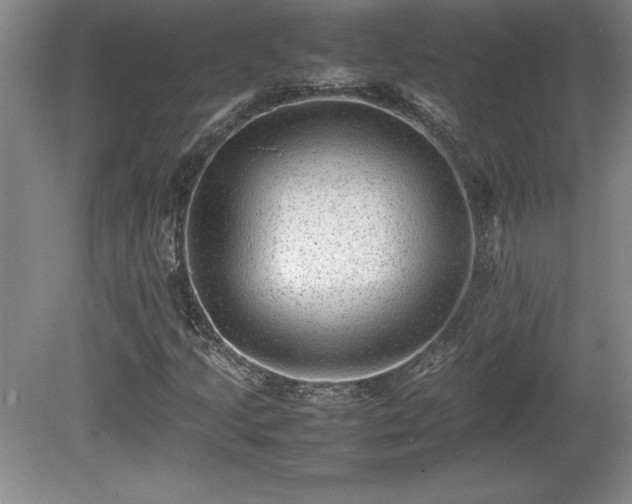 X0000081411205200701191521