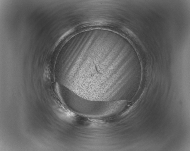 X0000081411210200701191521