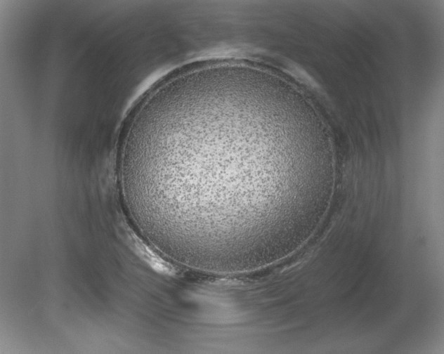 X0000081411216200701191521