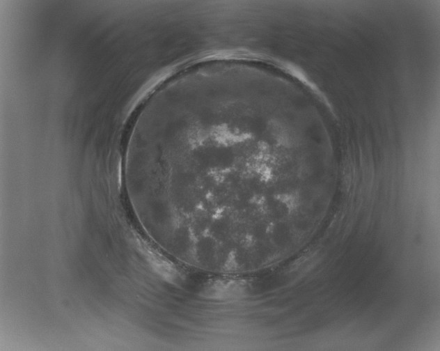 X0000081411221200701191521