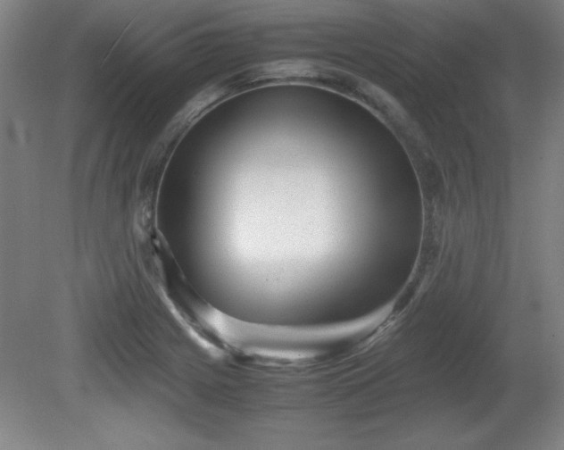 X0000081411225200701191521