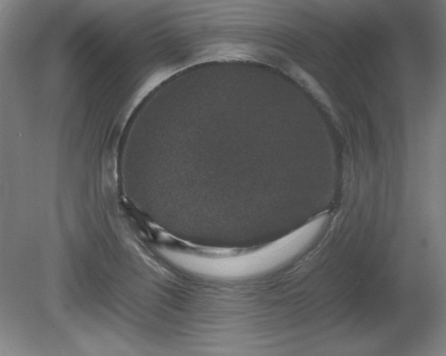 X0000081411226200701191521