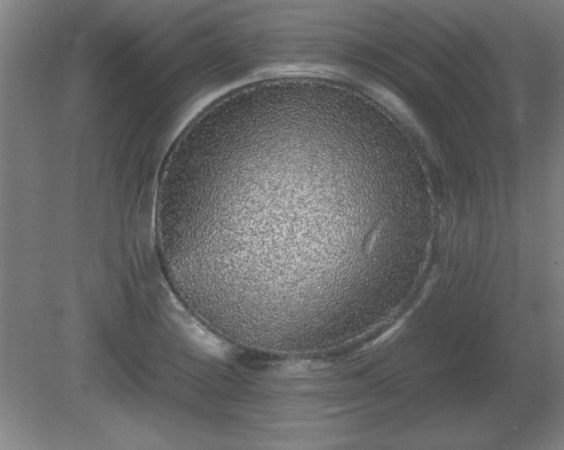 X0000081411228200701191521