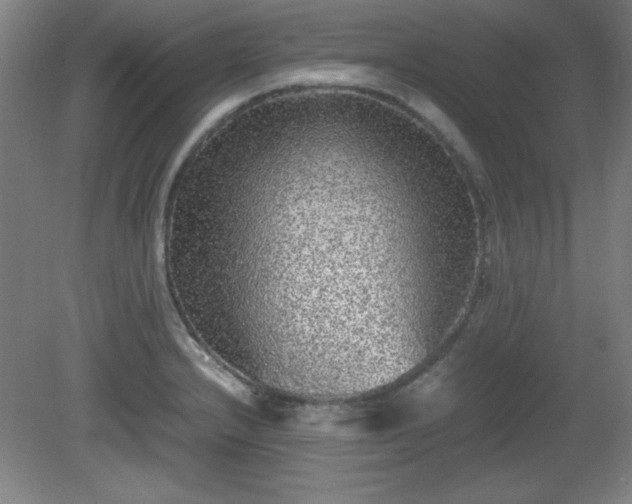X0000081411232200701191521