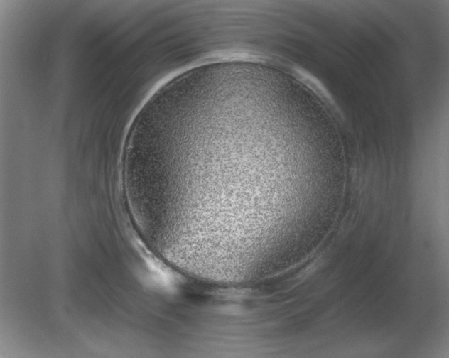 X0000081411236200701191521