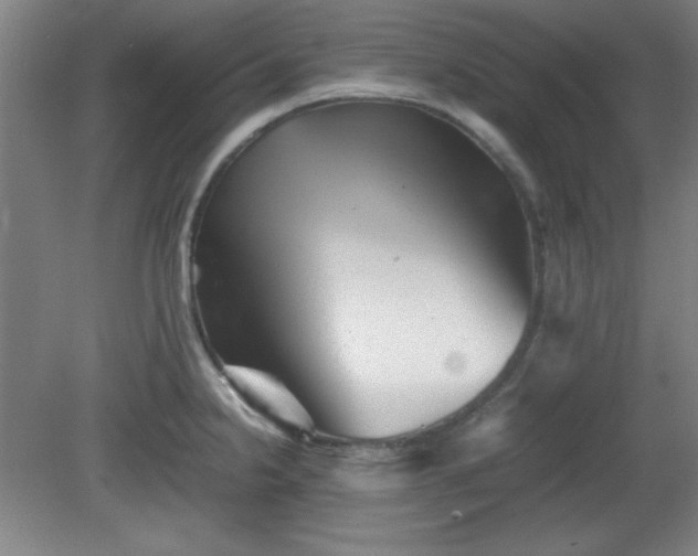 X0000081411238200701191521