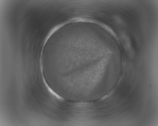 X0000081411247200701191522