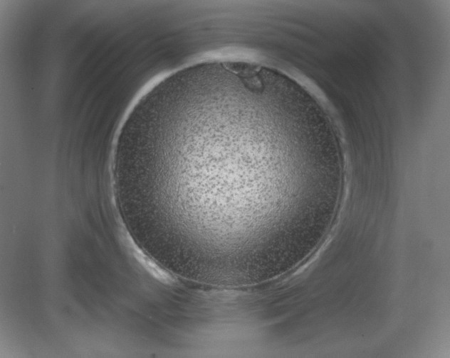 X0000081411248200701191522