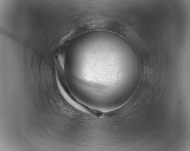 X0000081411250200701191521