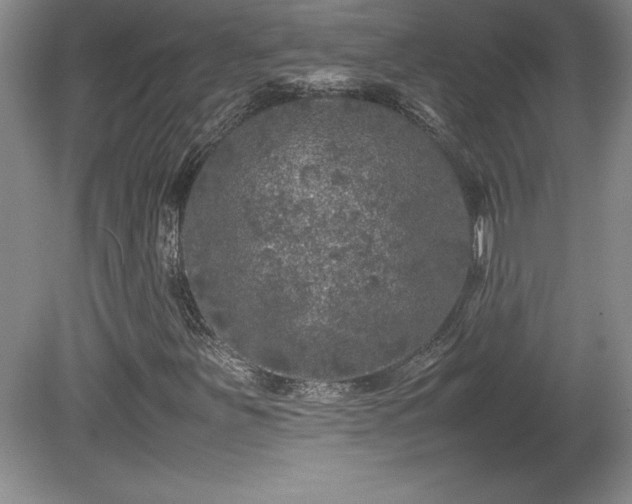 X0000081411251200701191521