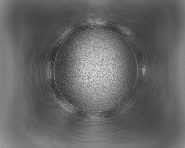 X0000081411252200701191521
