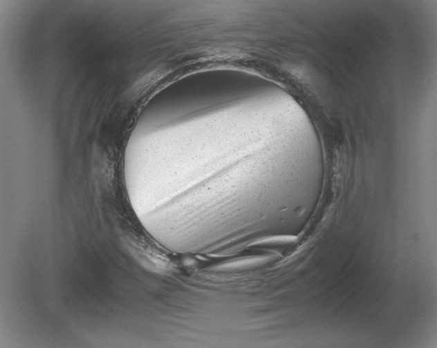 X0000081411257200701191521