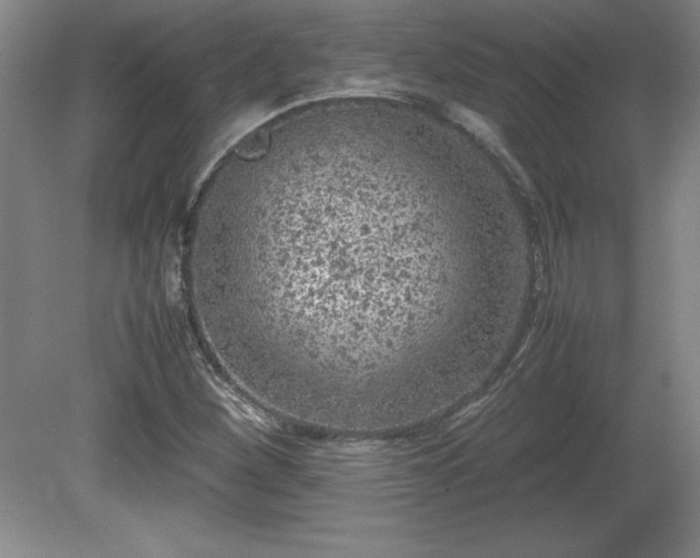 X0000081411260200701191521