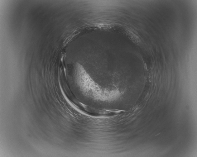 X0000081411298200701191519