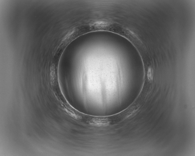 X0000081411299200701191519