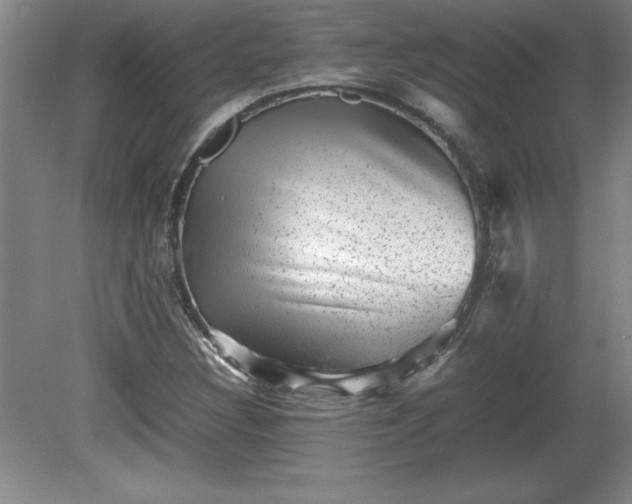 X0000081411308200701191519