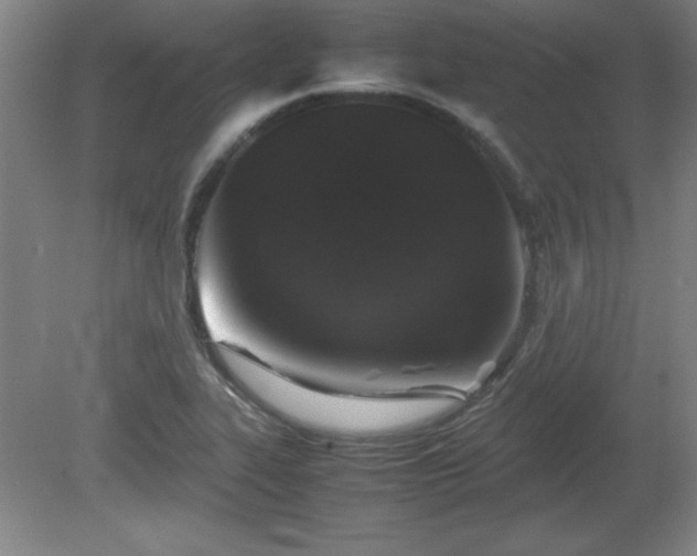 X0000081411319200701191520