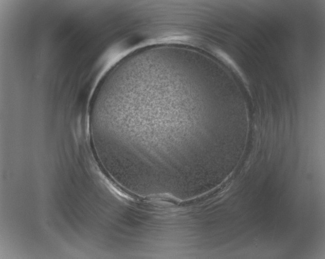 X0000081411324200701191520