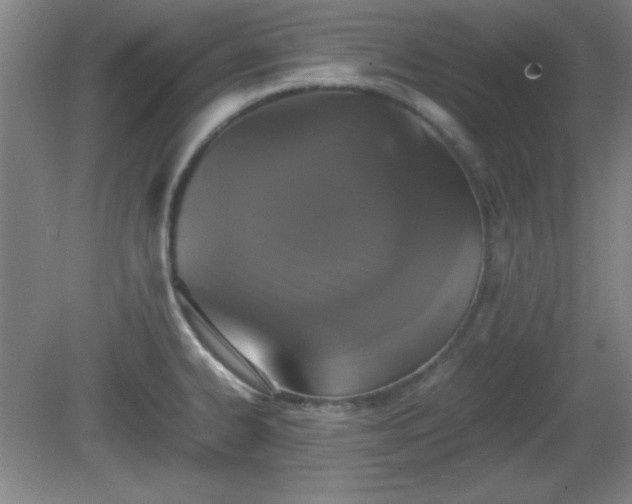 X0000081411334200701191520