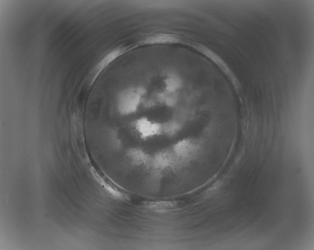 X0000081411337200701191520