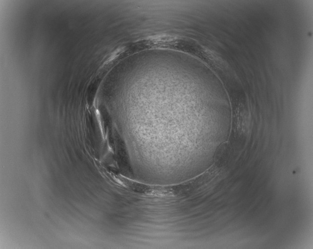 X0000081411346200701191519