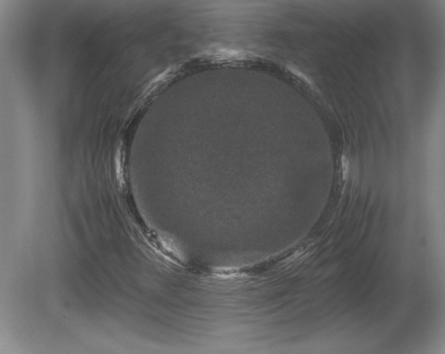 X0000081411348200701191519