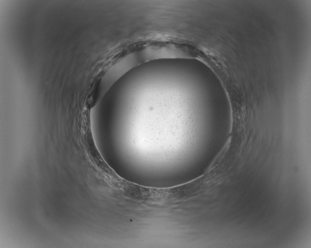 X0000081411349200701191519