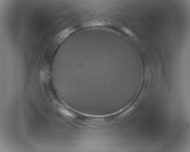X0000081411353200701191519