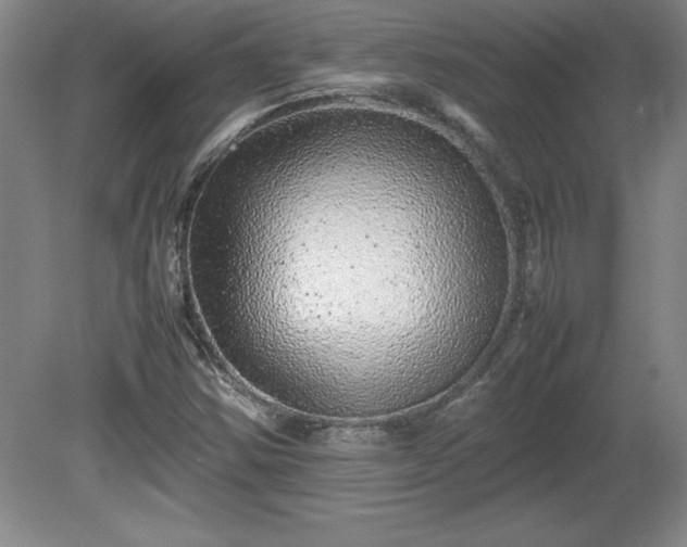 X0000081411354200701191519