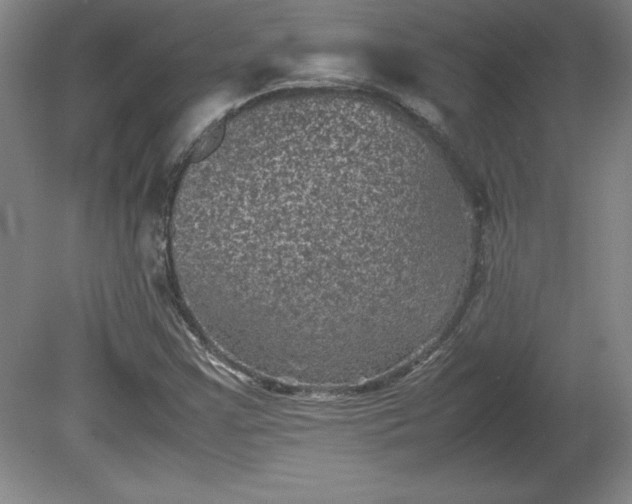 X0000081411355200701191519