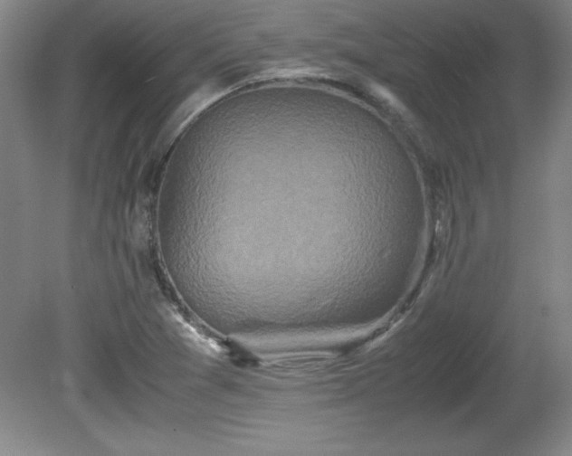 X0000081411361200701191519