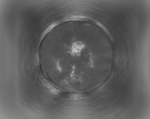 X0000081411362200701191519