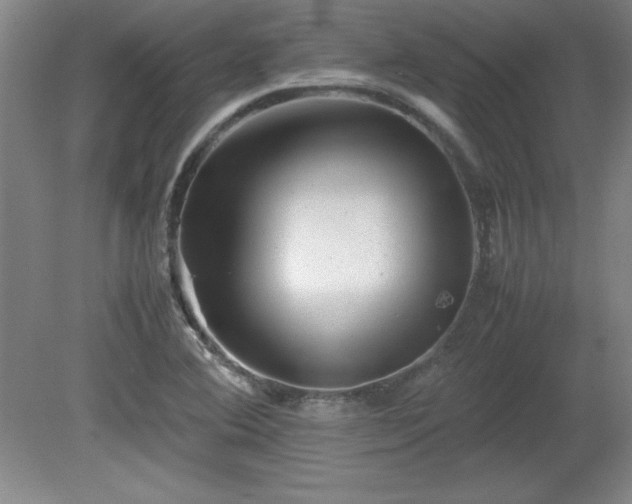 X0000081411364200701191519