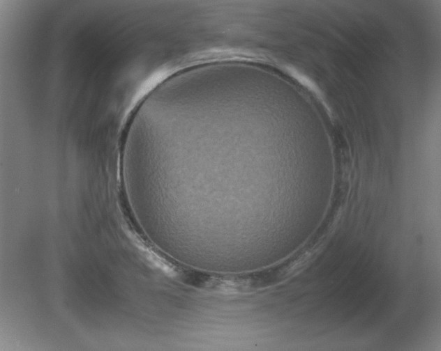 X0000081411365200701191519