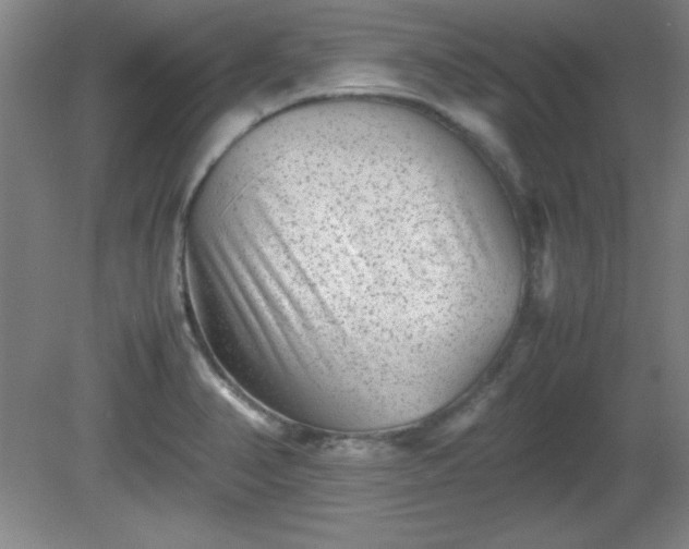 X0000081411374200701191519