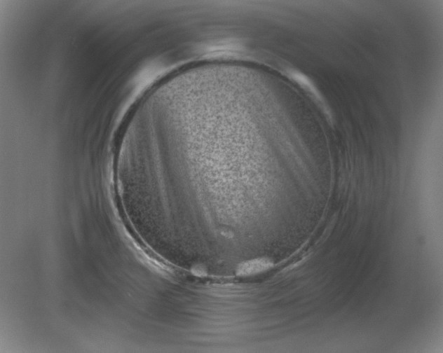 X0000081411376200701191519