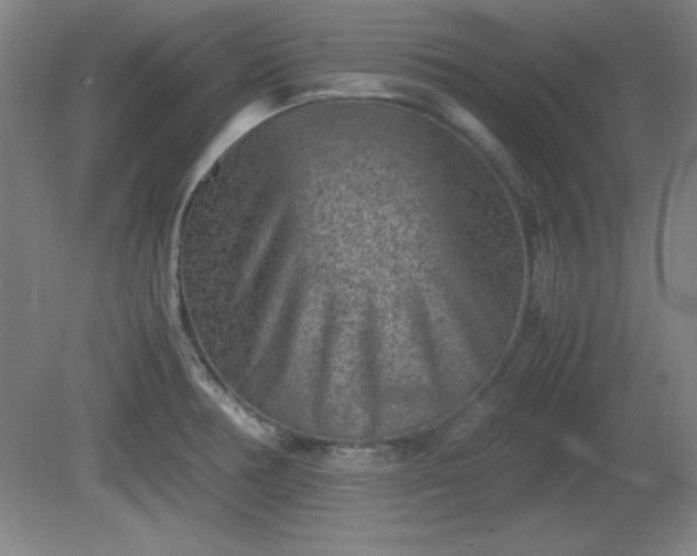 X0000081411378200701191519