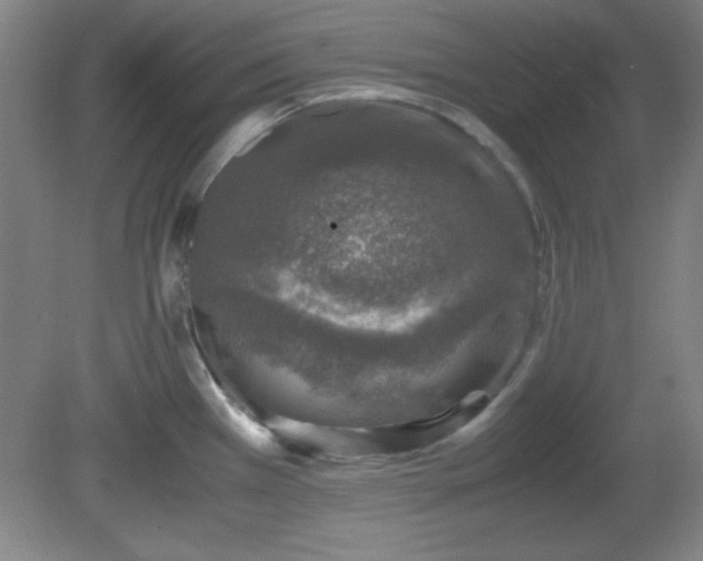 X0000081411385200701191519